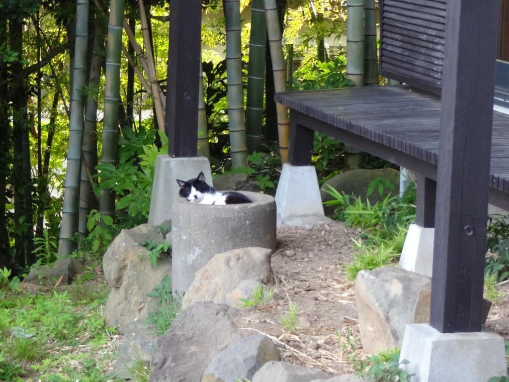 Ryokan Izuna Atami  Eksteriør billede